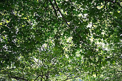 战地2042可以跨平台联机、跨平台保存进度吗？跨平台机制解析