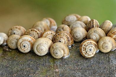 《暗黑2重制版》网络问题仍未解决 玩家排队要发疯