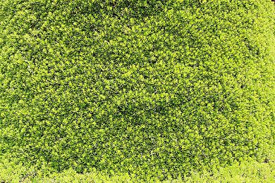 微软11月16日举办Xbox二十周年庆 无新作公开