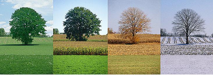 腾讯获《DNF》超本地化开发权 贴近中国玩家体验